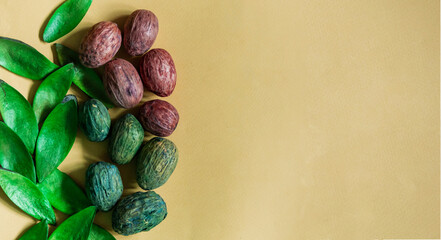 Green and brown nuts with green leaves on a yellow background. A place to copy