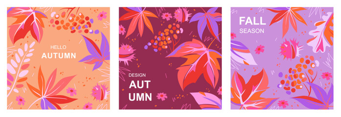 Set of autumn square cards with bright leaves, flowers and berries. Maple leaves, acacia, oak leaves, rowan berries and chestnut fruits. Fall background in red, pink and purple colors. Vector template