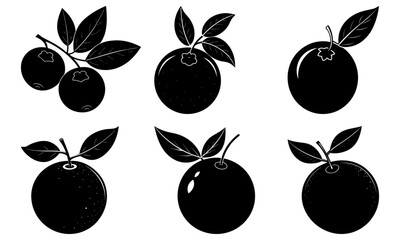 Fresh blueberries and oranges illustration, delicious fruit vector graphic for healthy eating, vibrant summer harvest, and juice designs, originally scalable