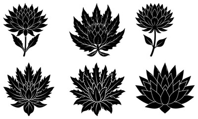 Elegant vintage floral elements for sophisticated designs, classic botanical illustration, perfect for logos, invitations, and timeless creative projects