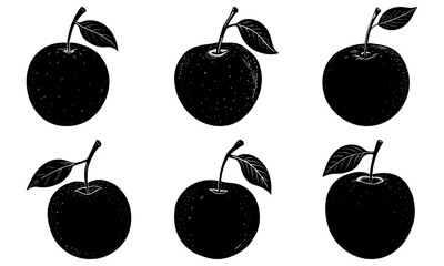 Elegant hand-drawn apples for your designs! Fresh, natural, and perfect for healthy food projects, branding, and creative illustrations. Download now!