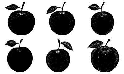 Fresh apples for healthy eating and vibrant designs! Perfect for nutrition campaigns, orchard promotions, and fall-themed projects. Vintage fruit appeal!