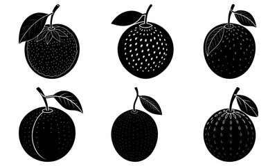 Whimsical orange collection, perfect for bright designs and healthy lifestyle themes, originally a scalable graphic for vibrant food illustrations or logos