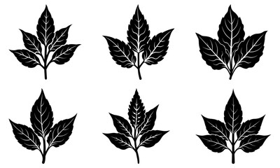Elegant botanical leaf collection for nature-inspired designs, ideal for springtime projects, fresh branding, and eco-friendly initiatives. Modern vector art.