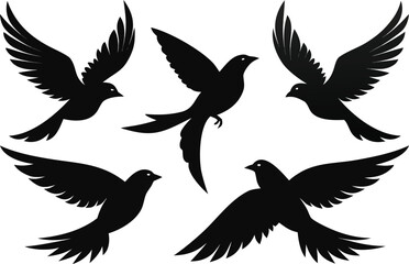 Obraz premium Five Black Bird Silhouettes in Flight on White flying