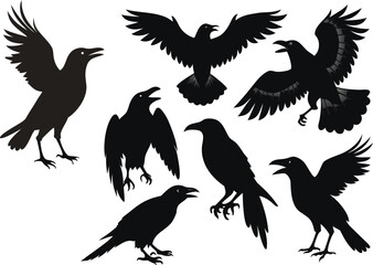 Group of Black Silhouettes of Crows in Different Actions