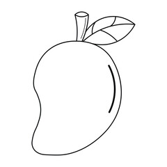 Mango fruit vector icon on trendy design