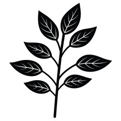Elegant black and white leaf branch vector illustration isolated on white