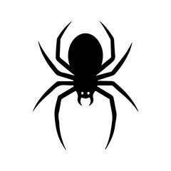 Simple Black Spider Silhouette Graphic Illustration on White Background