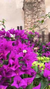 Jardin de la Galera Badajoz