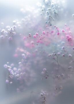 Soft pastel flowers in dreamy blur with gentle light, romantic mood, airy texture and delicate floral background.