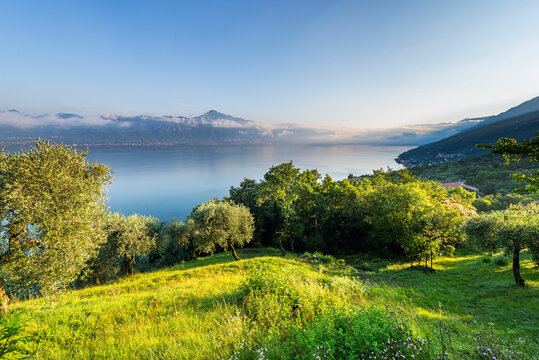 Olivenhaine, Bergwiesen und D&ouml;rfer an den H&auml;ngen des Monte Baldo und dem n&ouml;rdlichen Gardasee in der Morgensonne, Veneto, Trentino, Italien