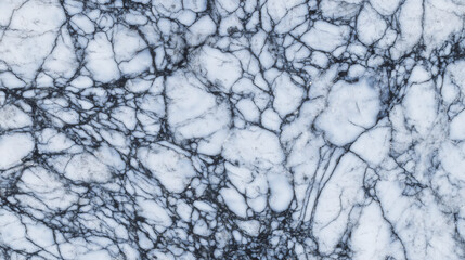 Obraz premium slab. Large cut slab of Carrara marble showing intricate grey veins and texture. safety posters, maintenance manuals, designed for precision metalworking and fabrication facilities.
