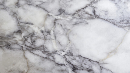 Obraz premium slab. Large cut slab of Carrara marble showing intricate grey veins and texture. safety posters, maintenance manuals, designed for precision metalworking and fabrication facilities.