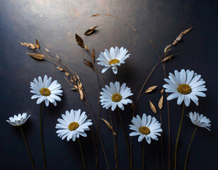 A delicate still life with white daisies and golden wild herbs on a textured dark gradient background. Minimalist, elegant botanical style for floral design.