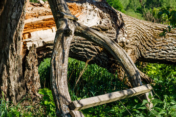 Rustic tree dwelling remnants among lush greenery. Weathered wood structure, a bygone secret hideout in nature's embrace