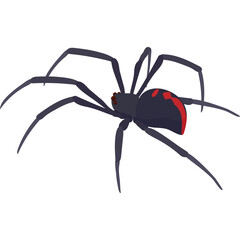 Black Widow Spider With Red Marking On Abdomen A Detailed Realistic Illustration On A Transparent White Background