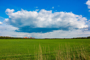 Vast green field under dynamic summer clouds, hinting at urban sprawl near nature's embrace