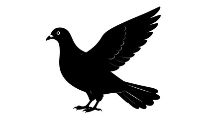 dove of peace