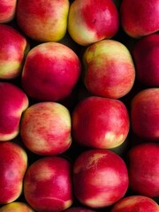 red apples background