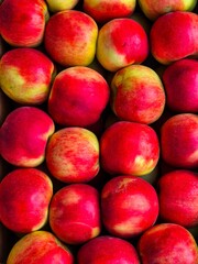 Ripe Red and Yellow Apples Background. Close-up Apple Pattern. ​Fresh Harvest Apples