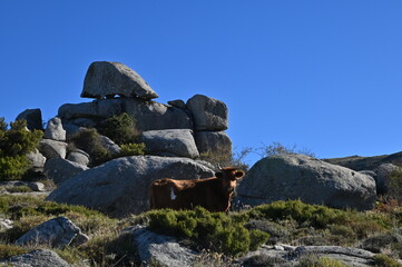 autour d'Aullène-Corse du Sud