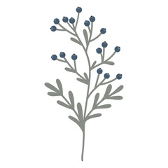 Hand drawn Berry sprig illustration, Twig with berry vector. Botanical element, twig with blue berries and leaves, sprig, plant