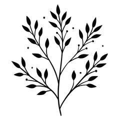 Elegant botanical illustration with leaves and berries in black and white