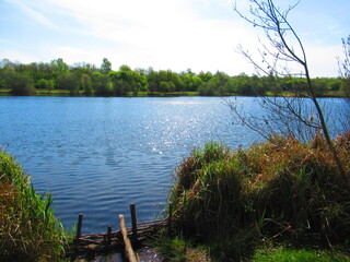 Riverside Nature Reserve in Guildford, England 