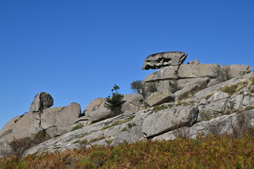 Autour d'Aull&egrave;ne en Corse du Sud