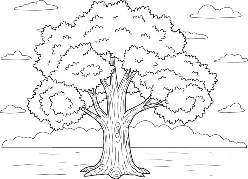 Enchanting Sycamore Tree Illustration in Black and White for col