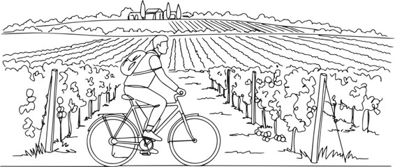 Obraz premium A man cycling through vineyard landscape illustration in minimal