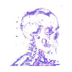 Full Print Neon Skull 
