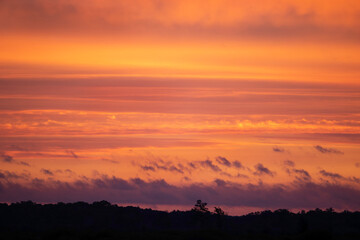 Obraz premium brilliant sunrise in the marsh