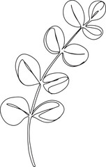 Elegant eucalyptus branch with rounded leaves in single line min