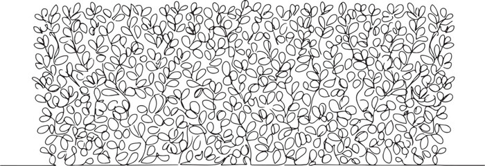 Elegant Single Line Drawing of Boxwood Hedge for Minimalist Desi