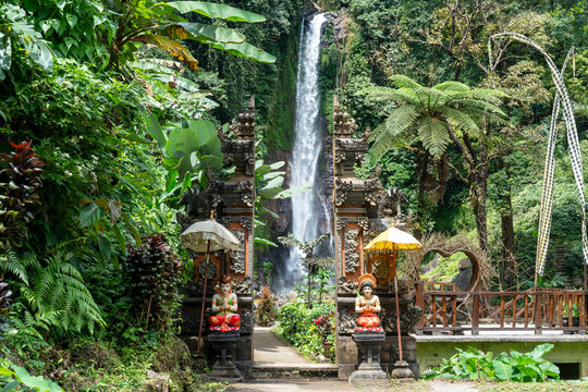 Gitgit waterfall in Singaraja, Bali, Indonesia