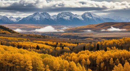 Vibrant autumn landscape with golden aspen trees in the foreground and snowcapped mountains in the background under a dramatic sky