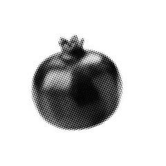 Pomegranate with halftone dotted texture