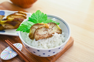 漬物をのせたご飯