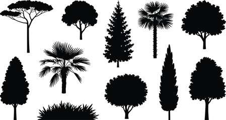 Tree silhouette illustration set, diverse plant vector collection with palm, conifer, broadleaf, bush icons, botanical nature design elements for landscape projects