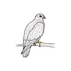Fototapeta premium Geometric line drawing of a hawk perched on a branch 