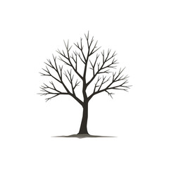 Fototapeta premium Abstract silhouette of a bare tree with bare branches on white background 
