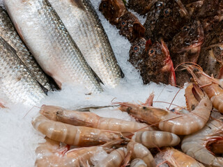 Variety of fresh raw fish and shrimp displayed on ice at a market