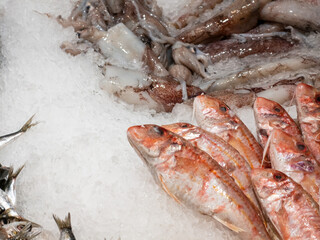 Fresh red mullet and squid displayed on a bed of crushed ice at a market stall