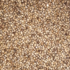 Dried Seeds Spread on Surface in Warm Natural Light | Organic Harvest and Sorting Concept 