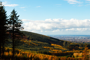 Autumn forest hills overlooking distant Dublin city skyline under blue sky