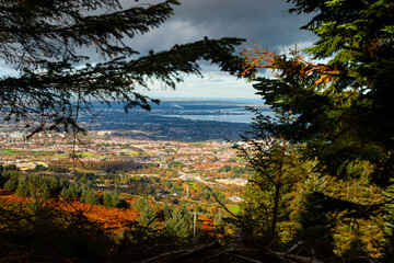 Overlooking Dublin City through autumn forest in Ticknock with sunlight and dark clouds dividing the landscape below