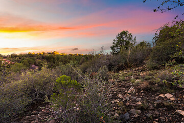 colorful evening over wild landscape, vibrant twilight over rocky terrain with distant trees