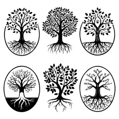 Diverse collection of royalty-free images and videos for creative projects available on stock photo websites